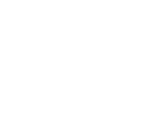 FIT PARENTS