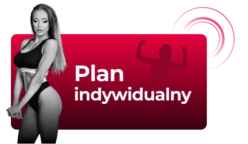 Plan indywidualny